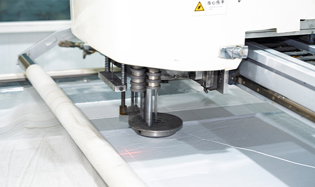 JIANGSU LAETIFICUS PARVULUS SALUS SEDES CO., LTD.