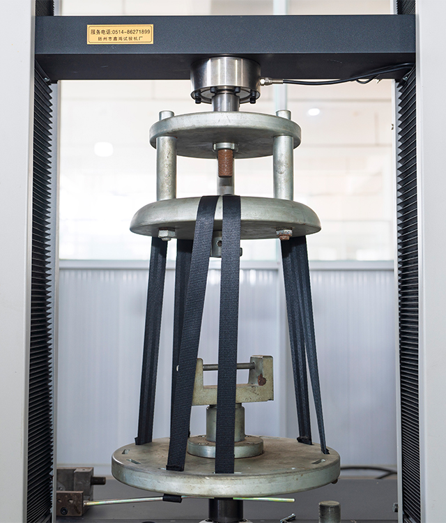 JIANGSU LAETIFICUS PARVULUS SALUS SEDES CO., LTD.